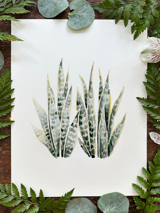 Sansevieria Print