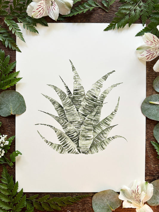 Zebra Succulent Print