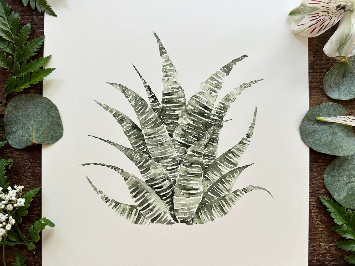 Zebra Succulent Print