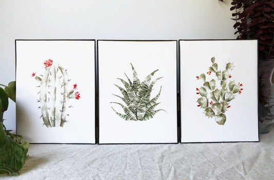 3 Cactus Prints