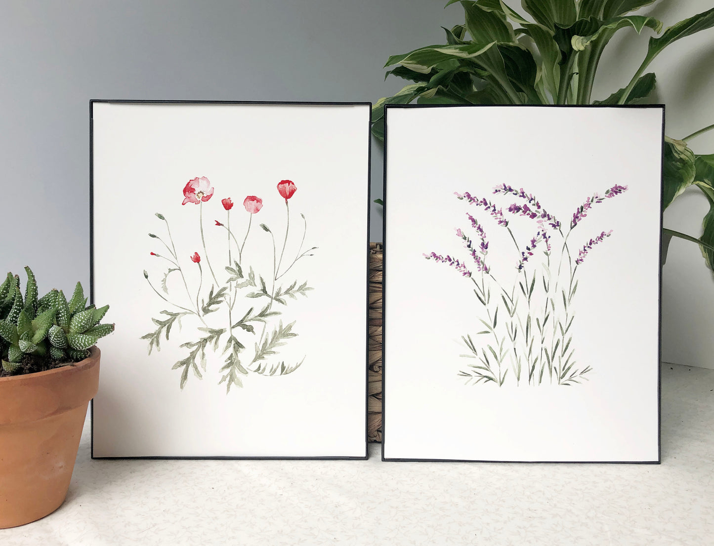 Lavender and Poppy Prints