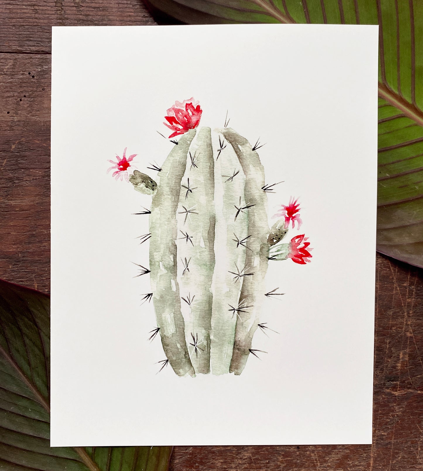 Cardon Moruno Cactus Print