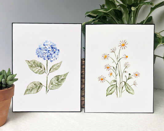 Daisy and Hydrangea Prints