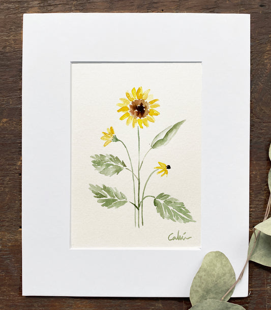 Sunflower Original