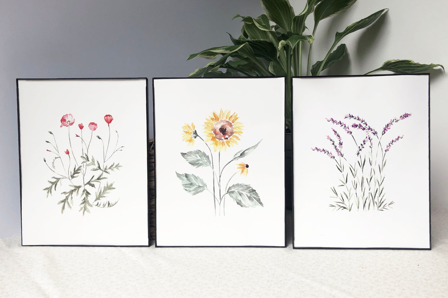 3 Floral Prints